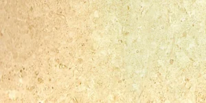 02-Terra-Antiga.jpg 02-Terra-Antiga.jpg