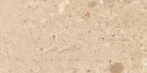 Marmore-Crema-Royal-1000×1000-1.jpg Marmore-Crema-Royal-1000x1000-1.jpg