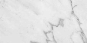 statuario_venato statuario_venato