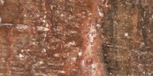 travertino_rosso travertino_rosso