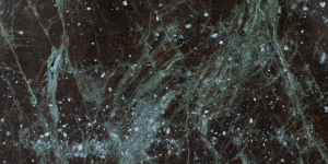 verde-pantanal verde-pantanal