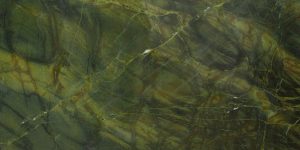 vitoria regia vitoria regia